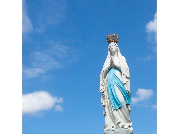 Our Lady of Lourdes, guided tour, on foot, of the sanctuary.