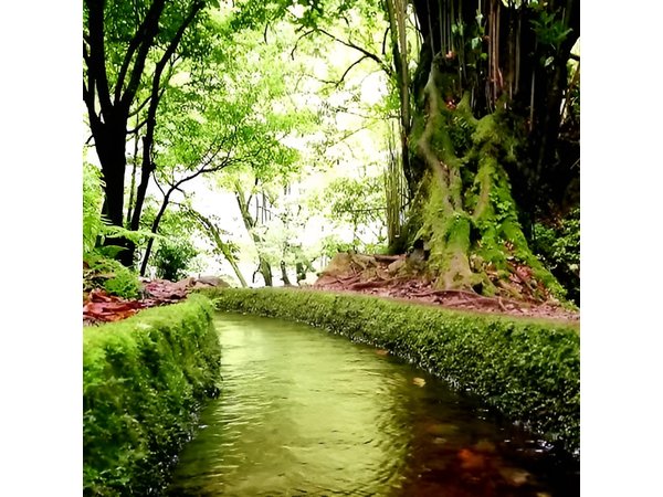 Kings Levada - São Jorge