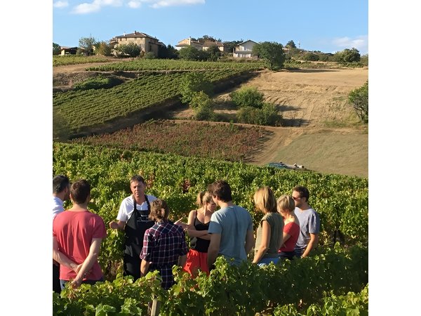 Beaujolais & Perouges Medieval Town - Private Tour - Full Day from Lyon