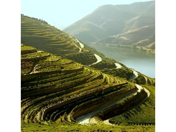 Douro Valley and Lisbon 5 Day PRIVATE Tour - Port Wine Region, Porto and Lisbon