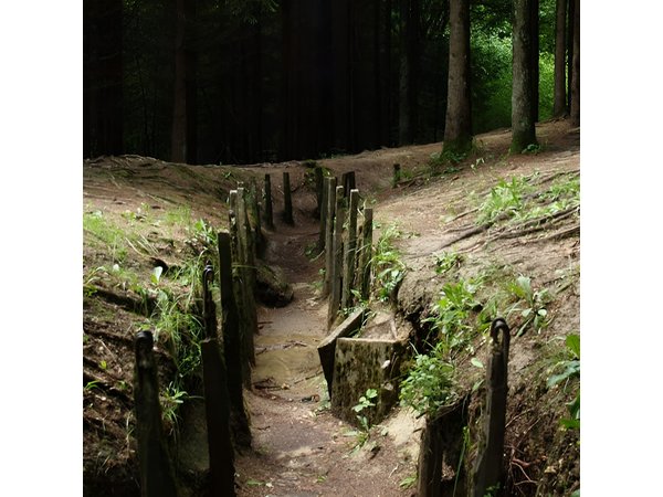 Private tour of the battlefields of Verdun from Paris in Van (2/7 travelers)