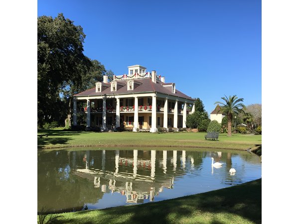 Airboat and Plantations Tour with Gourmet Lunch from New Orleans