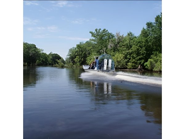 Small-Group Airboat Swamp Tour with Downtown New Orleans Pickup