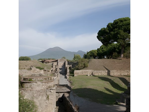 Private tour Pompeii Vesuvius and Winery from Sorrento