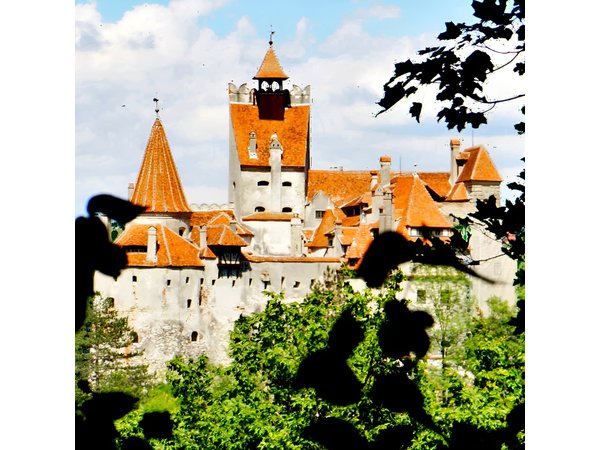 Private Tour to Dracula's Castle, Peles Castle from Bucharest