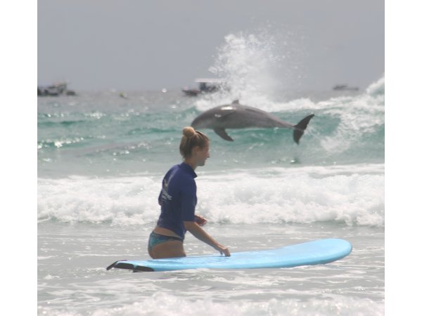 Gold Coast Full Day Learn To Surf Adventure
