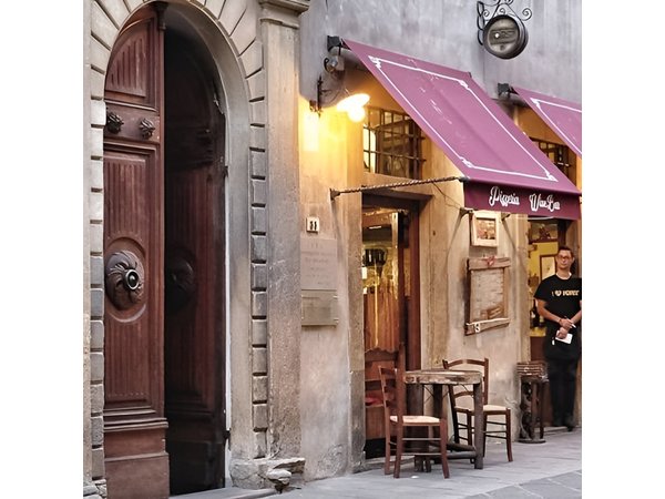 Private Day Trip San Gimignano and Volterra from Florence