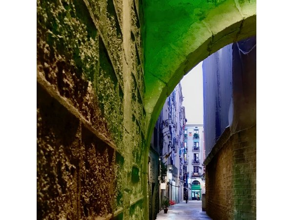 Explore hidden streets of Barcelona with a local - Private Tour
