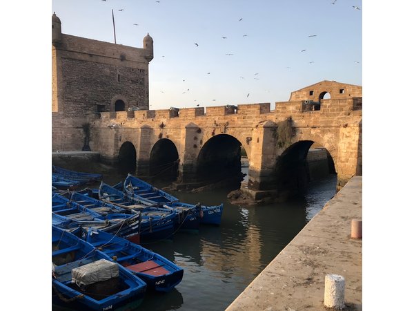 Marrakech Day Trip to Essaouira - Horseback, Camel Ride, ATV on the Beach