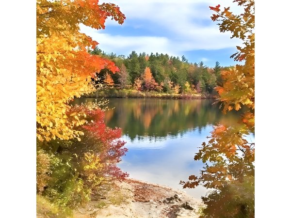 Boston to New Hampshire Fall Foliage White Mountains Day Trip