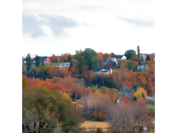 Private Montmorency Falls and Orleans Island from Quebec