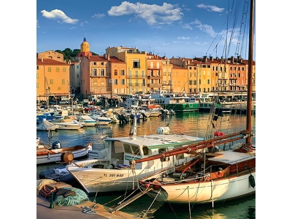 Saint Tropez Full Day Shared Tour from Nice