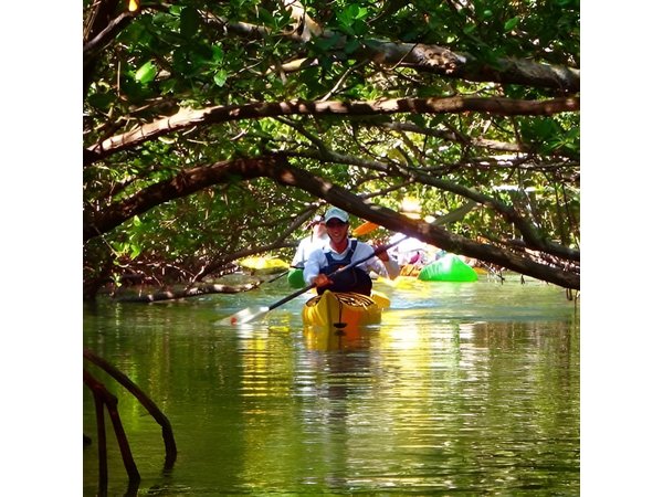 Fort Lauderdale’s Tropical Kayak Tour and Island Adventure