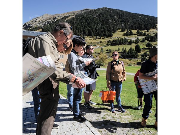 Pyrenees Mountains Private Day Trip from Barcelona