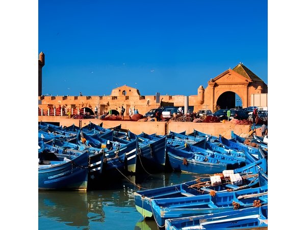 A wonderful day in Essaouira from Marrakech