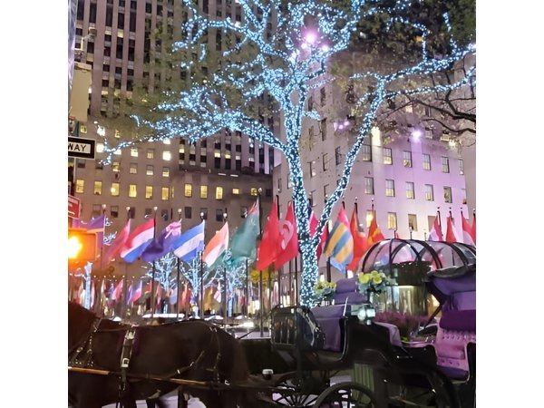 New York City Christmas Lights Private Horse Carriage Ride