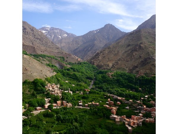 Hiking and summiting the Atlas Mountains day trip from Marrakech