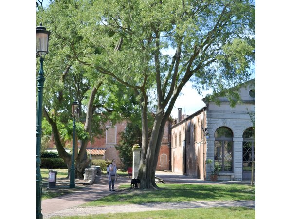 Secret Gardens of Venice Walking Tour