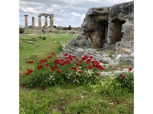 3-Day Peloponnese and Delphi Private Tour from Athens
