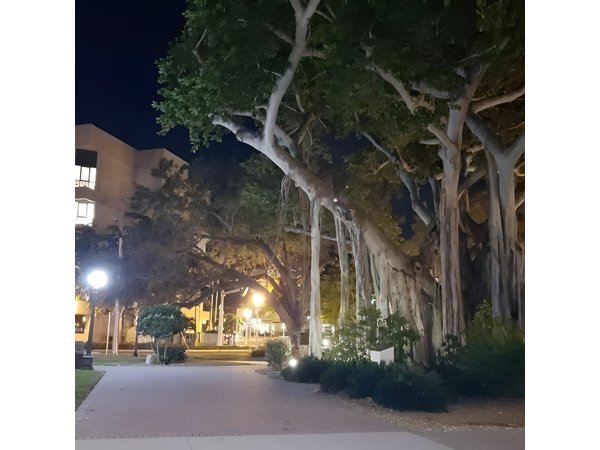 Haunted History of Fort Myers Walking Tour