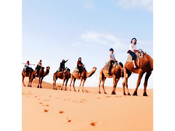 Shared Group 3 Days/2Nights: Fez to Marrakech Sahara Tour
