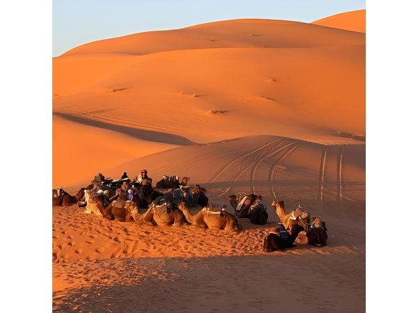Explore Tangier: Cape Espartel, caves and camel ride.
