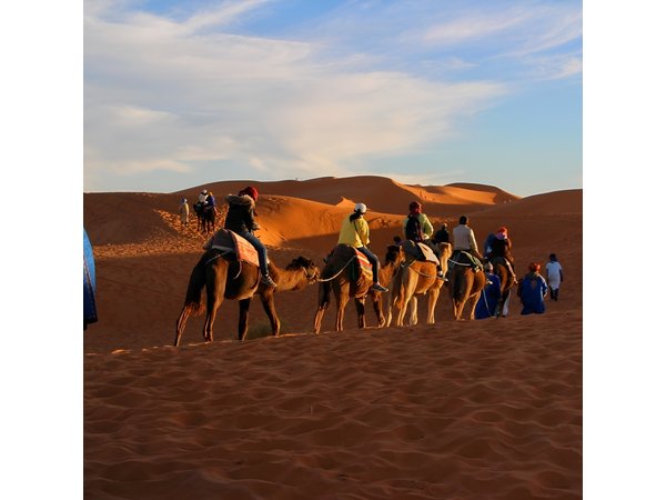 Dessert Tour from Marrakech 4D/3N
