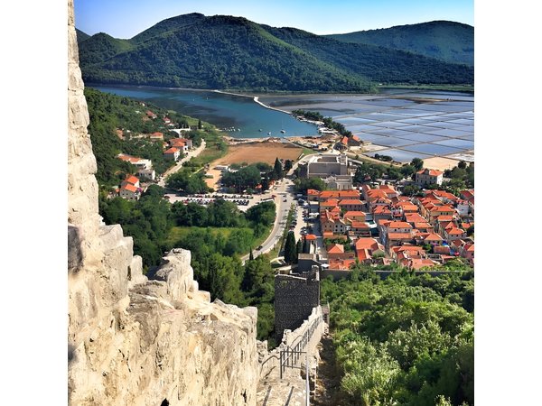 Peljesac Wine & Ston Oysters PRIVATE HALF DAY SHORE TOUR