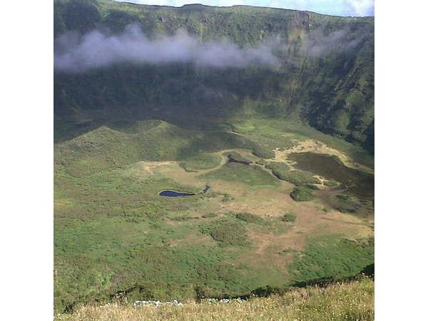 Half-Day Faial Island Tour from Horta