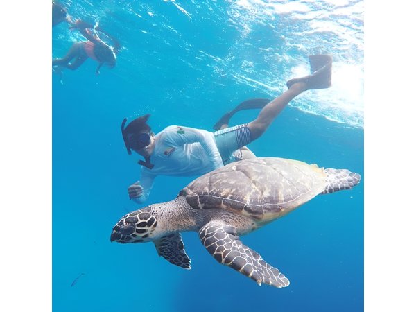 Cozumel Snorkeling Tour: Palancar, Columbia and El Cielo Reefs