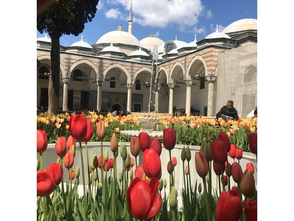 Private Istanbul Old City Walking Tour