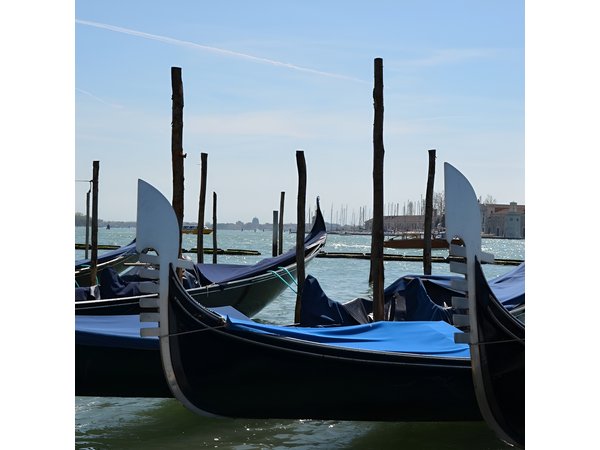 Discover Venice’s Icons: Private 3-Hour Walking Tour