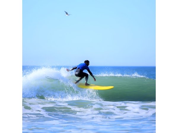 Albufeira: Beginner Surf Lesson at Galé Beach