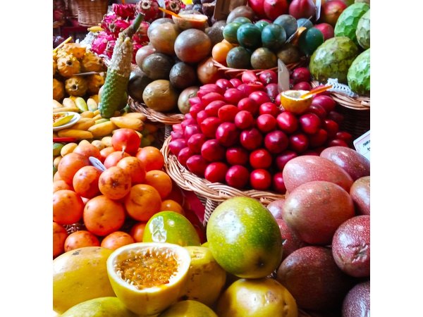 2-Hour Funchal City & Madeira Wine Experience