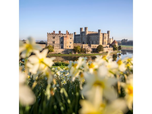 Leeds Castle and Canterbury - Day Tour from Brighton