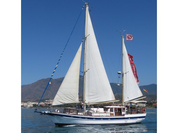 Dolphin Watching Adventure in Estepona Bay