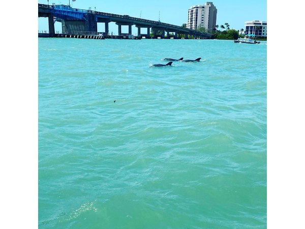 Dolphin Tiki Cruise around Fort Myers Beach