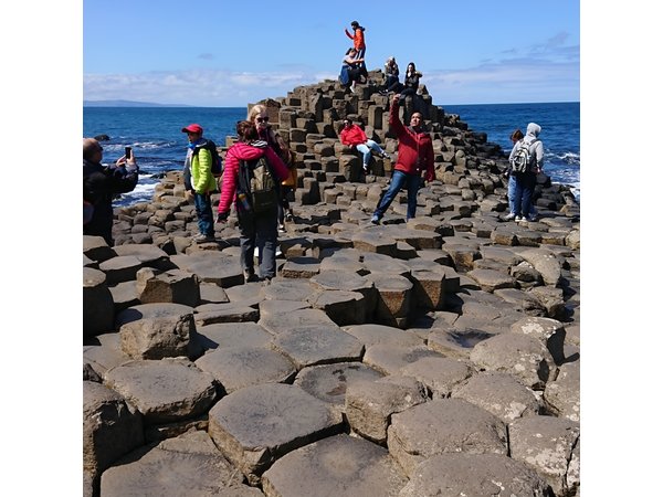 Shore Excursion: Giants Causeway & Dark Hedges From Belfast