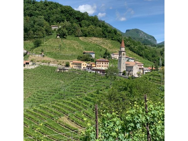 A Sparkling Day in the Prosecco Hills from Venice