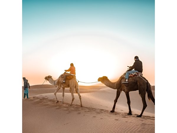 7 days 6 nights desert tour from marrakech