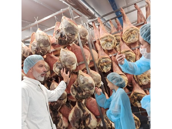 Prosciutto Factory 4-Hour Tasting Tour in Bologna