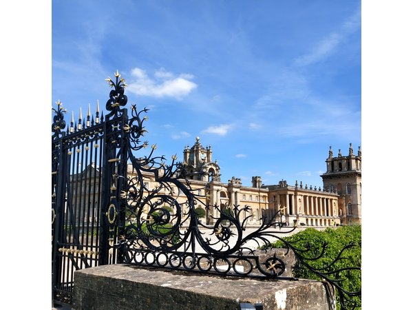 Blenheim Palace Guided Tour from Oxford- private tours