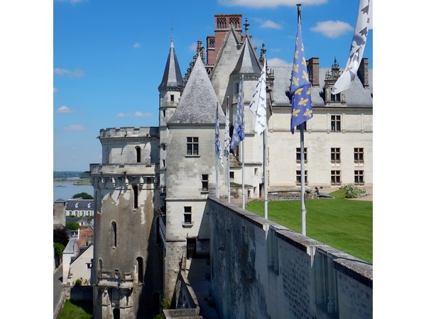 Private 3 Loire Castles Live Guided with Wine tasting from Paris