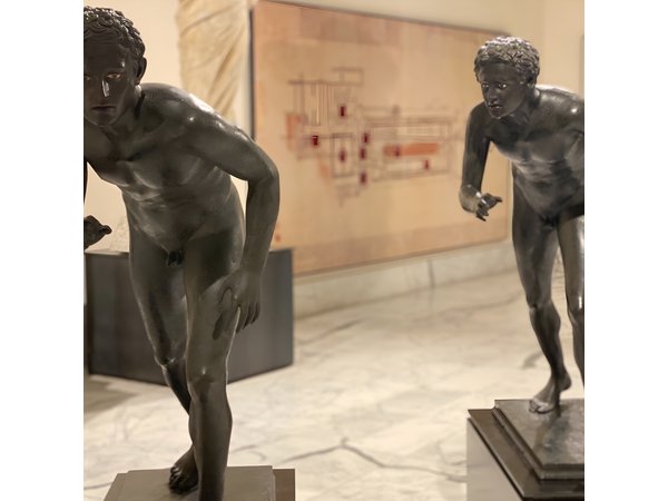 Private Tour of the National Archaeological Museum of Naples