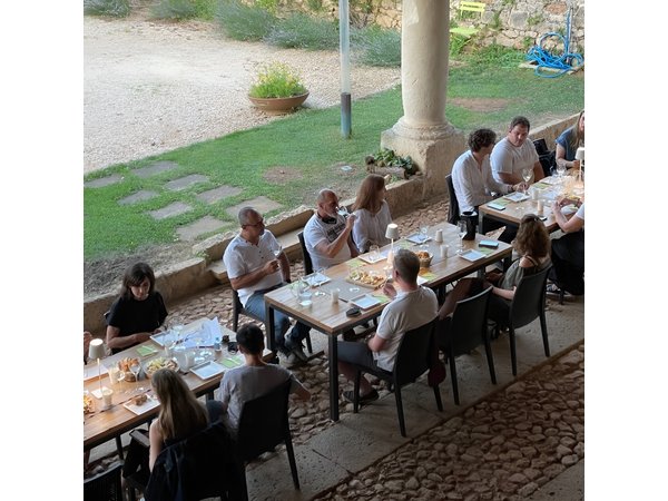 From Verona: Prosecco & Classic method sparkling wine tour, with light lunch