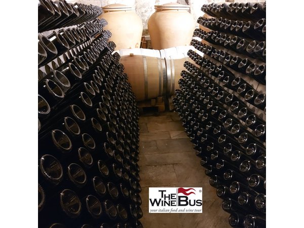 Private Irpinia Wine Tour from SORRENTO with sommelier