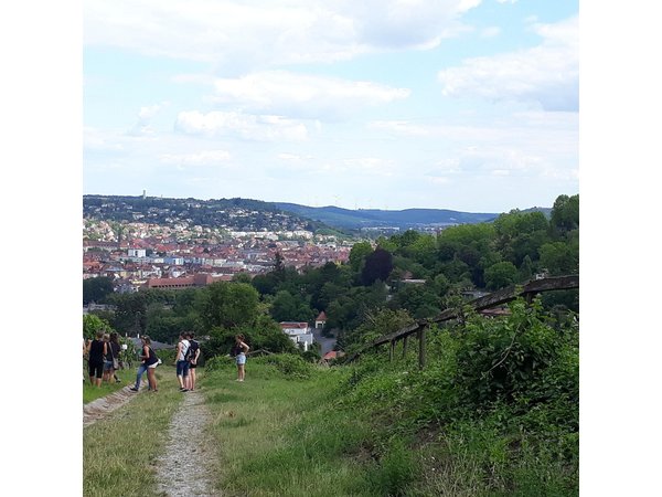 Wine rally in Würzburg with tasting