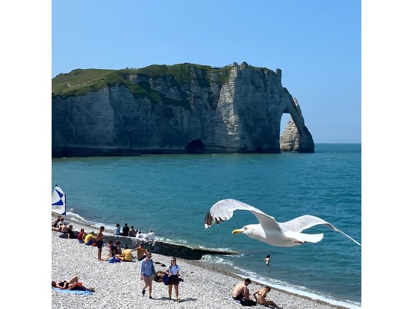 Normandy Rouen, Honfleur, Etretat Small group Day Trip from Paris