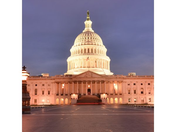 Washington DC Sight Seeing Private Tour-English or Spanish Option