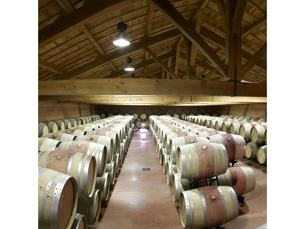 Half-Day Cotes du Rhone Private Wine Tour from Lyon